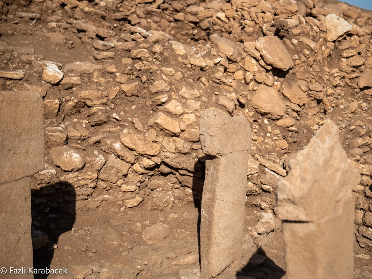 Close-up of animal relief carved in high relief on a T-shaped pillar at Karahantepe